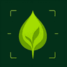Virido – AI plant care app logo